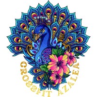 CROSSFIT AZALEA logo - Similar company to Ortech Power Solutions