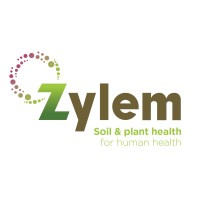 Zylem logo - Similar company to Next Level Agri Lesotho