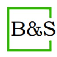 B&S (2017) PTE. LTD. logo - Similar company to Bltn Pte Ltd C/O Geekyget