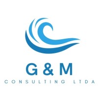G&M Consulting Ltda logo - Similar company to Partickle