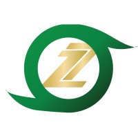 Zany Consulting Group logo - Similar company to Cloud For Smb Consulting
