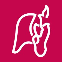 Pottok logo - Similar company to Kataklop Network
