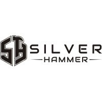 Silver Hammer Systems logo - Similar company to Dynamic Technical Formulations Llc