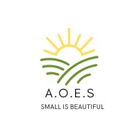 Association Obligations Economiques Sénégal logo - Similar company to Aoes Llc