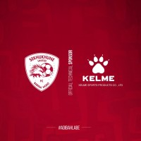 Sekhukhune United Football Club logo - Similar company to Campdiscovery