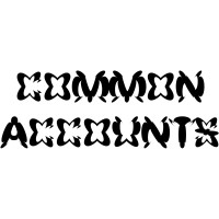 Common Accounts logo - Similar company to Parabase