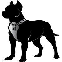 Pitt Bull Secure Technologies, Inc. logo - Similar company to Eastern Datacomm