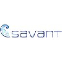 Savant Ltd logo - Similar company to Iron Oak Technologies, Llc