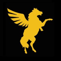 Goldinmotion logo - Similar company to Bluerise Techlead