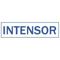 intensor consultancy logo - Similar company to Intensor