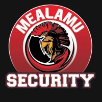 Mealamu Security logo - Similar company to Complete Accounting Solutions