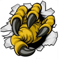 Talon Exterior Cleaning Specialist logo - Similar company to Dc Group Specialist Services