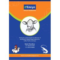 Emryn Healthcare Pvt Ltd logo - Similar company to Prime Eagle Trading