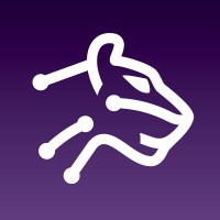 Puma IT logo - Similar company to Virtua It