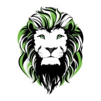 Capital Street FX logo - Similar company to 1 Way Web