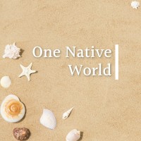 One Native World logo - Similar company to Onenative Studio