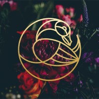 One goose entry logo - Similar company to The Berliner
