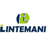 Lintemani logo - Similar company to Mobisig