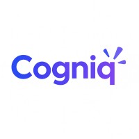 Cogniq Labs logo - Similar company to Tlv Solutions