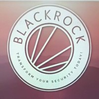 BlackRock Security logo - Similar company to Fearless 144