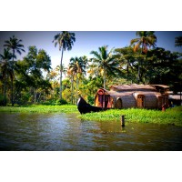 Alappuzha Web logo - Similar company to Battery Lab
