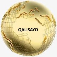 Qalisayo Consults Ltd. logo - Similar company to Dikann Global