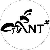 Anttechs (Pty) Ltd logo - Similar company to Pixel Ninja Studios