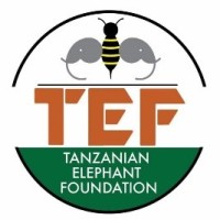 Tanzanian Elephant Foundation (TEF) logo - Similar company to For A Lasting Planet