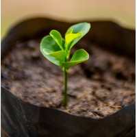 AgromudaMz logo - Similar company to Agromuda Bertani