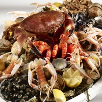 Blue Crab seafood logo - Similar company to Ariel Seafoods