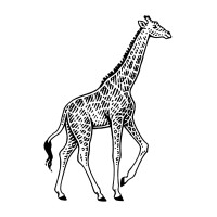 Vanderbilt Private Equity logo - Similar company to Carbon First