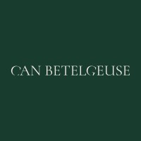 Can Betelgeuse Studio logo - Similar company to Meet And Code