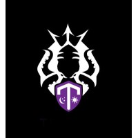 Trident Protection Services logo - Similar company to Proteqtus Group