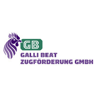Galli Beat Zugförderung GmbH logo - Similar company to Aebo+Dill Ag