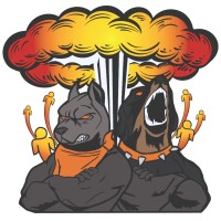 Rising Underdogs logo - Similar company to Fusion Frame Design