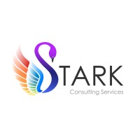 STARK Consulting Services South Africa logo - Similar company to Bussynet Advanced Trading