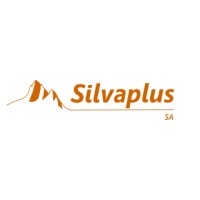 Silvaplus SA logo - Similar company to Odys Informatique Sa