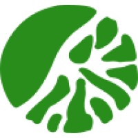 DeepRoot GNU/Linux logo - Similar company to Hyperactive It