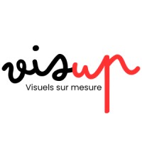 Visup creation logo - Similar company to Data Sl Consulting