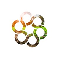 ACE – Agriculture Collateral Experts logo - Similar company to Grupo Desenvolve