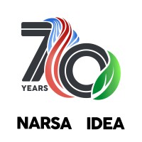 NARSA / IDEA logo - Similar company to Camideos - Fraunhofer Isi Spinoff