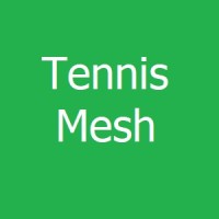 Tennis Mesh logo - Similar company to Emotika