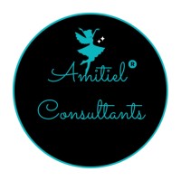 Amitiel Consultants logo - Similar company to Drfinancelab