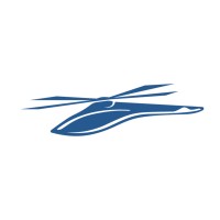 V AIR INTL logo - Similar company to Icarus Flight Solutions