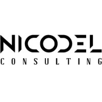 NICODEL CONSULTING logo - Similar company to Z0Ne