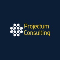 Projectum Consulting logo - Similar company to Brandeable