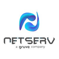 NetServ logo - Similar company to Crelite Technologies