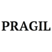 PRAGIL AB logo - Similar company to Idavall Data