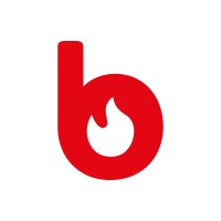 BOOMEX GmbH logo - Similar company to Flame Group Ltd