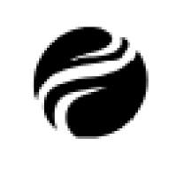 Digicon Valley Foundation logo - Similar company to Digicon Valley (Project Of Arfa Karim Foundation)